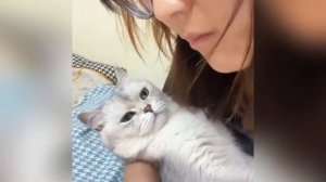ПОПРОБУЙ НЕ ЗАСМЕЯТЬСЯ 😂 СМЕШНЫЕ ЖИВОТНЫЕ СОБАКИ И КОТЫ 2026 🐱🐶