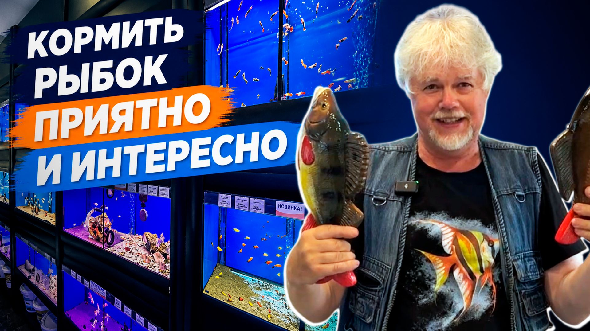 Кормить рыбок приятно и интересно | Аквариумные истории из ЭКЗОМЕНЮ №185