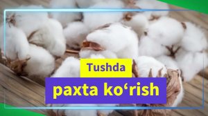Tushda paxta ko‘rish - Тушда Пахта курса