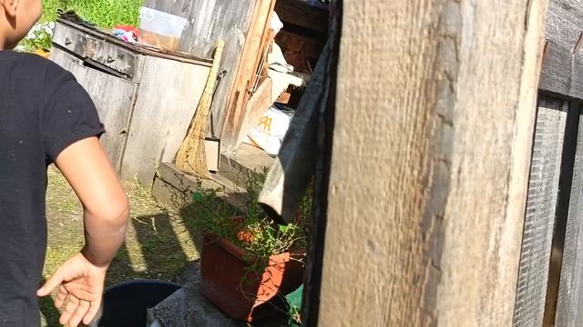 видео немного не получилось но смешное ха-ха😂