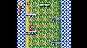 Dendy (Famicom,Nintendo,Nes) 8-bit Whomp Em Stage 6 Ice Ritual Прохождение