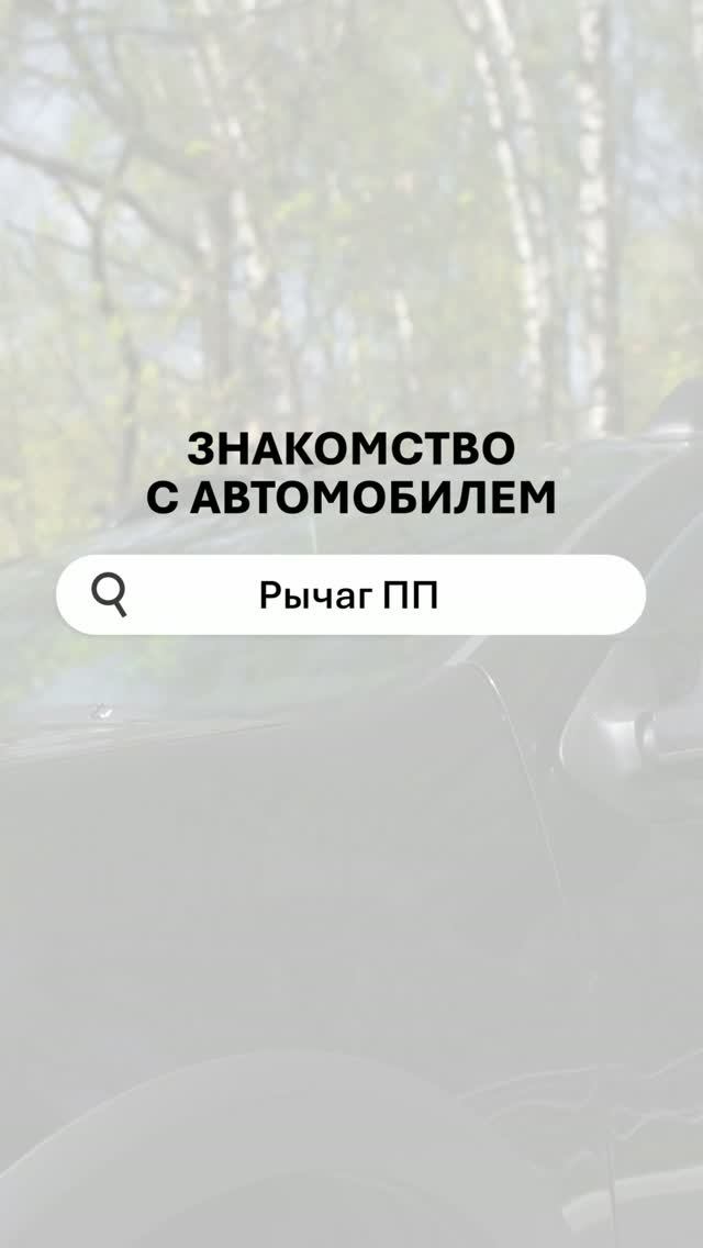 P R N O  язык начинающего водителя 