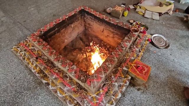 Пуджа в Гита Ашрам. Манго созрели, обезьяны прыгают по деревьям. Ришикеш. Индия.