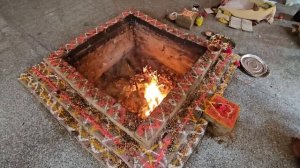 Пуджа в Гита Ашрам. Манго созрели, обезьяны прыгают по деревьям. Ришикеш. Индия.