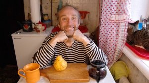 Перекус с котями. Хитрость летяги, лисы и Рыжули. Мукбанг. Обжор. Еда на камеру. Диета. Шизофрения.