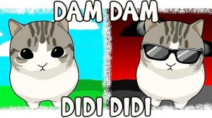 Dam Dam Didi Didi Cat