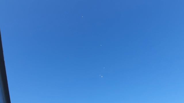 14.08.26 г. Андижанская порода голубей (2)