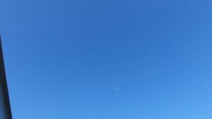 14.08.26 г. Андижанская порода голубей (2)