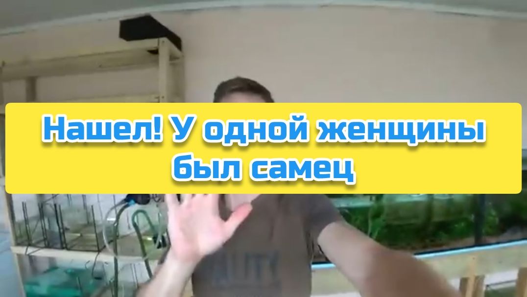 Нашел! У одной женщины был самец