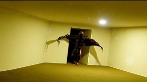 Backrooms - Found Footage #47(Interrogative Infohazard)