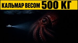 Колоссальный кальмар: гигант весом 500 кг из глубин Антарктики