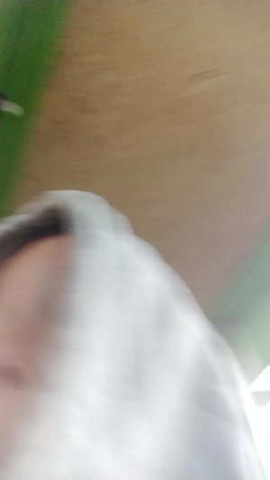 эфир как мы едем на автобусе