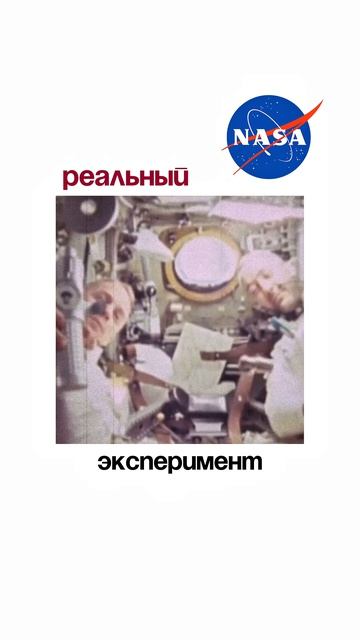 наш Эйнштейн раскроет вам все тайны 🤫