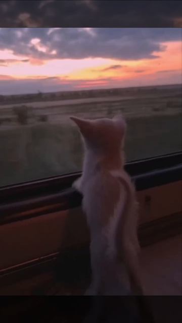 Маленький путешественник ❤️