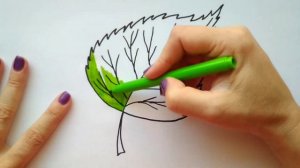 ЛИСТ БЕРЕЗЫ / раскраска БЕРЕЗОВЫЙ ЛИСТ / НарисуйКа