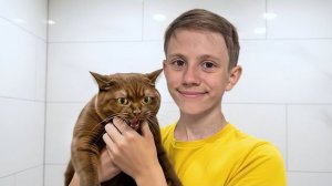 Купаю ЗЛУЮ КОШКУ Ириску - Смешная реакция кота на ванну!