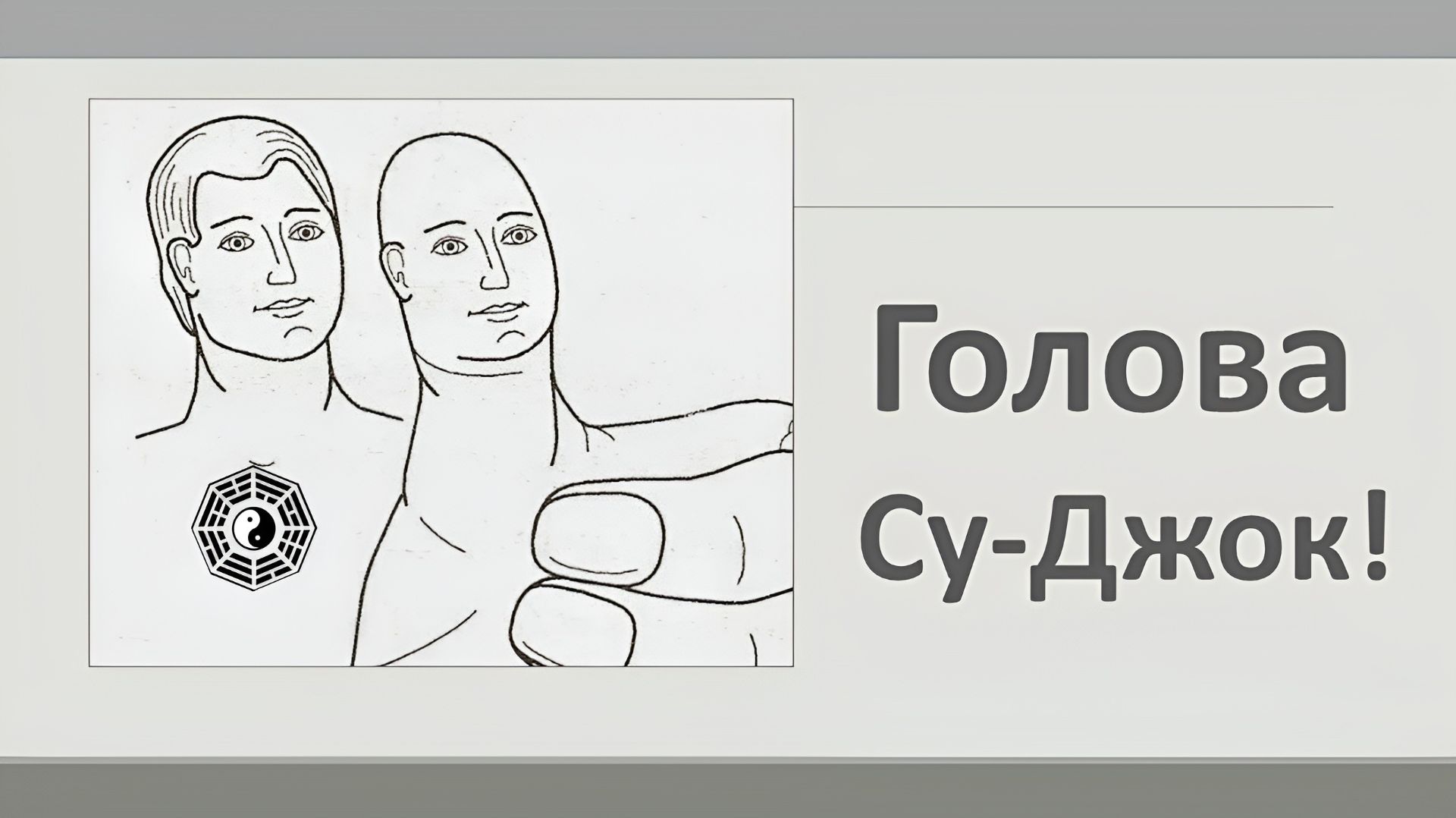 03 Структуры головы Су-Джок 07