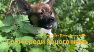 «ГРОМ СРЕДИ ЯСНОГО НЕБА»