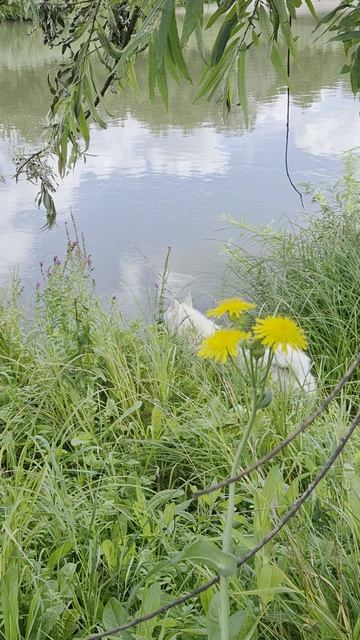 у реки