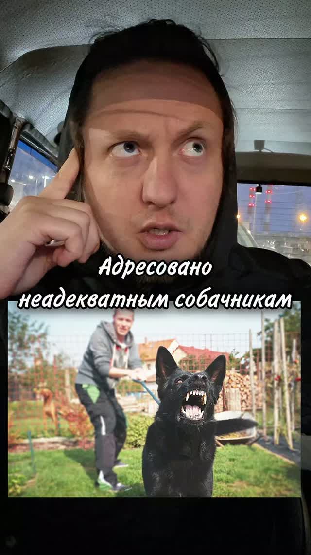 Адресовано неадекватных собачников