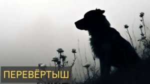 Перевёртыш (Мистическая история)
