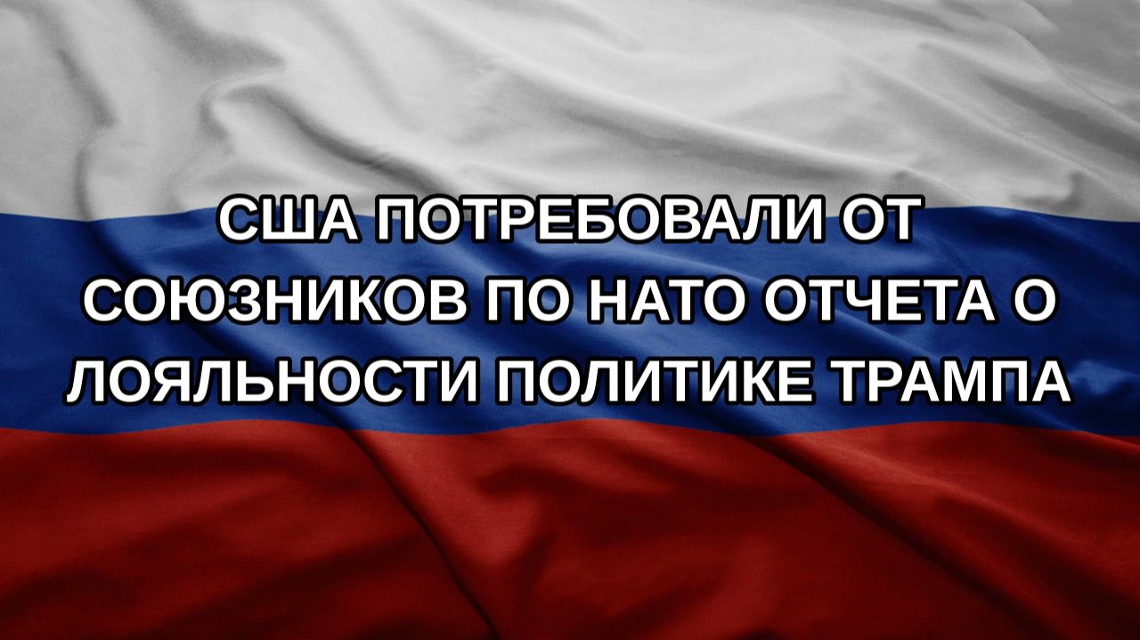 США потребовали от союзников по НАТО отчета о лояльности политике Трампа
