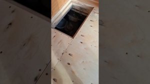 1000067022.mp4 (Собака слушает о технологии укладки л/фанеры в гостиной, на кухне в доме А-фрейм)