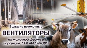 Вентиляторы ВЕТРОМАСТЕР в СПК «Малахово»
