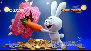 Реклама Фортуната В морковске от OZON (2026, 1)