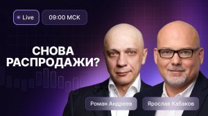 Это еще не дно? Какие акции выдержат новый обвал рынка?