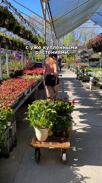 Покупка растений в садовых центрах