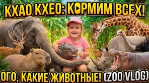 ОГРОМНЫЙ ЗООПАРК КХАО КХЕО! Кормим Животных | Экскурсия по зоопарку 🐃🐘🦛🦒🦏🦌🦩🦅🐓