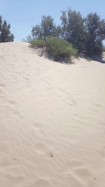 песчаные горы