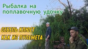 Рыбалка на поплавочную удочку!
