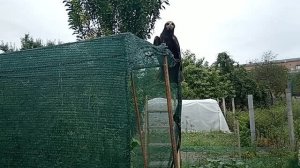 Птица. Удивительно.