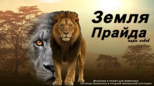 Земля прайда - место, где звери обретают второй шанс: наша прогулка
