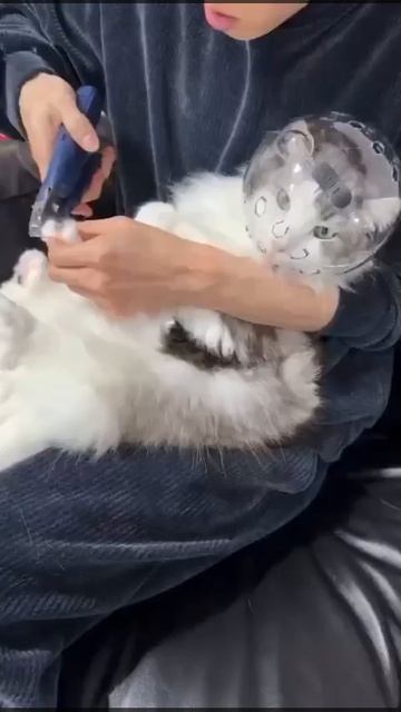 Какое полезное приобретение 😲
