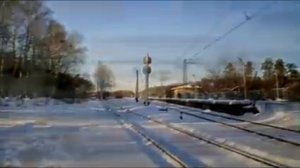 «Берёзы» Михаил Гулько