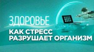 «Все болезни от нервов»: миф или научный факт?