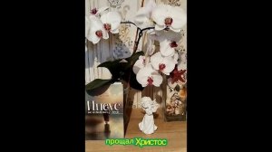 Поэтическая страничка. Б. Пастернак «Учись прощать»