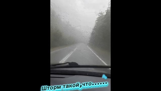 монды видео