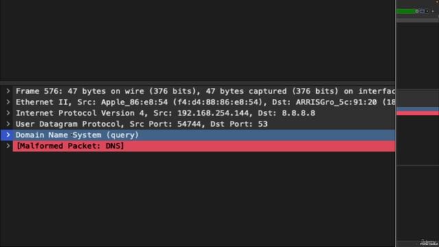 09 1. Wiresharking UDP
