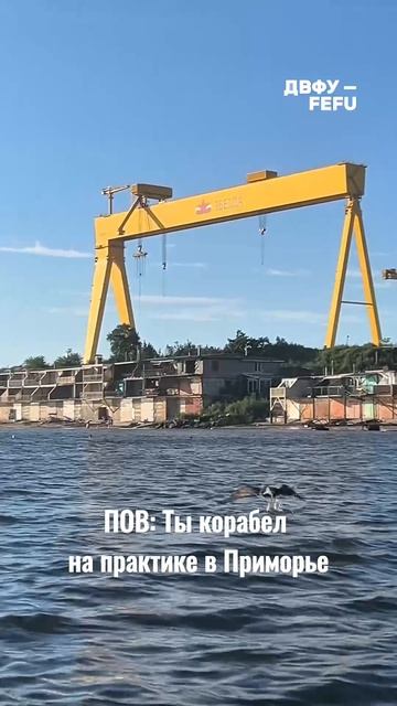 ПОВ: ты будущий корабел на практике в ДВФУ