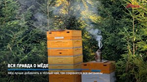 КРТВ. Вся правда о мёде