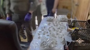 Подмосковные полицейские пресекли деятельность торговцев анаболическими стероидами