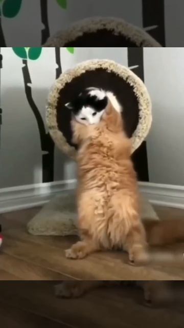 Что делать с гостями, которые всё никак не уходят. Инструкция😆