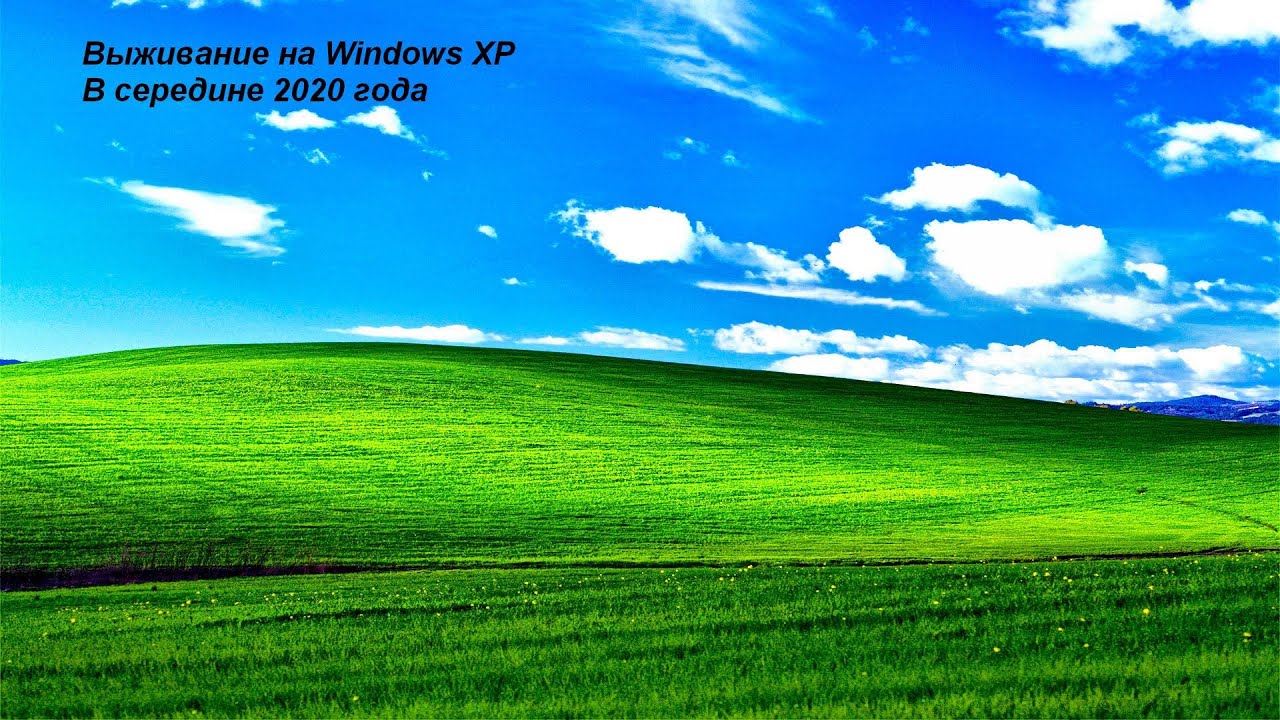 Выживание на Windows XP в середине 2020 года
