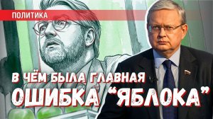 Утверждение «»Яблоко» — партия мира» — это наглядный результат дебилизации