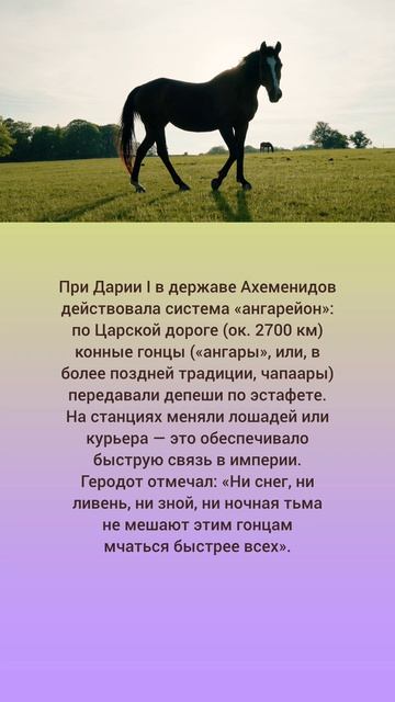 Первая в мире почтовая служба: персидская эстафета 🐎💌