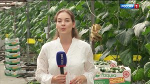 11.30 – «Вести. Адыгея» от 14.08.2026г.